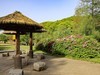 长沙生态植物园3