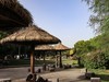 长沙生态植物园3