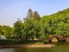 长沙生态植物园3