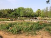 长沙生态植物园3