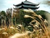 洪山寺