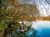 西湖冬景（7）