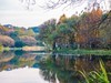 西湖冬景（7）