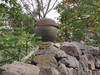 深秋山里行-7