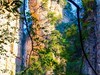 张家界游拍 105