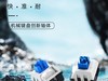 五行轴丨水轴