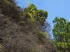 太行山八泉峡游记-20