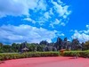 蜀滇黔渝鄂骑游随拍10——石林视角