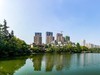 禁锢在城中小水洼