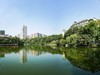 禁锢在城中小水洼