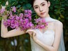 南湖倩影