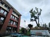 漫步星城 走街串巷（695）嗣同学校