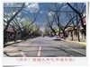 13级大风街头纪实！