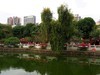 三角公园（7）