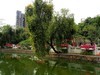 三角公园（7）