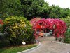 三角公园（7）