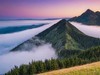 在纷扰中寻求宁静
