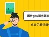 2025年国外gpu服务器多少钱一台？