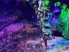 ☆★ 仙境传奇