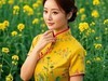 菜花醉佳人