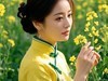 菜花醉佳人