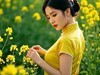 菜花醉佳人