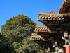 2025年第0376贴-故宫旅拍（0603）