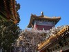 2025年第0376贴-故宫旅拍（0603）