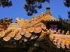 2025年第0376贴-故宫旅拍（0603）