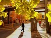 （小米莱卡镜头深秋温柔起来，天 穹 且 与 银 杏 私 语 凭 肩 只 用 了 一 种 颜色，