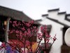 惠山古镇新拍
