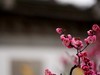 惠山古镇新拍