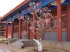 开元寺