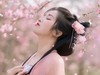 樱花汉服女