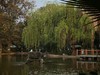 随拍一189