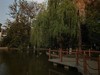 随拍一189