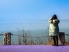 【梁子湖湿地风光】