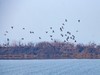 【梁子湖湿地风光】