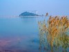 【梁子湖湿地风光】