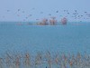 【梁子湖湿地风光】