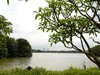 海珠湖随拍（2）