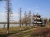 青华海   1   （原片直出）