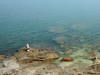 连云港海湾一好友们新年快乐