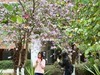 华南农业大学