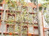 华南农业大学