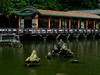 公园随拍（4）