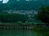 公园随拍（4）