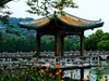 公园随拍（4）