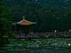 公园随拍（4）