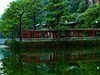 公园随拍（4）
